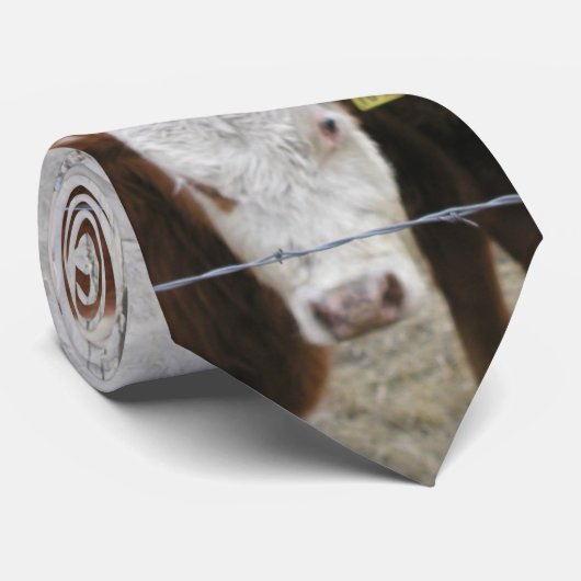 Ik vertel het je. stropdas (Opgerold)