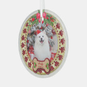 Ik verweed je een vrolijk kerst gepersonaliseerd h glas ornament (Voorkant links)