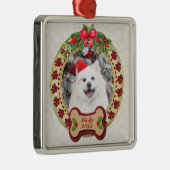 Ik verweed je een vrolijk kerst gepersonaliseerd h metalen ornament (Rechts)