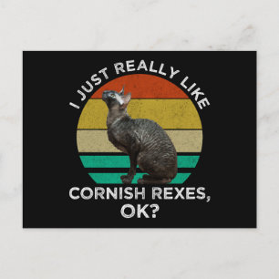 Ik vind Cornish Rexen gewoon echt leuk, OK? Briefkaart