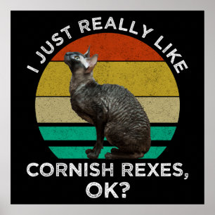 Ik vind Cornish Rexen gewoon echt leuk, OK? Poster