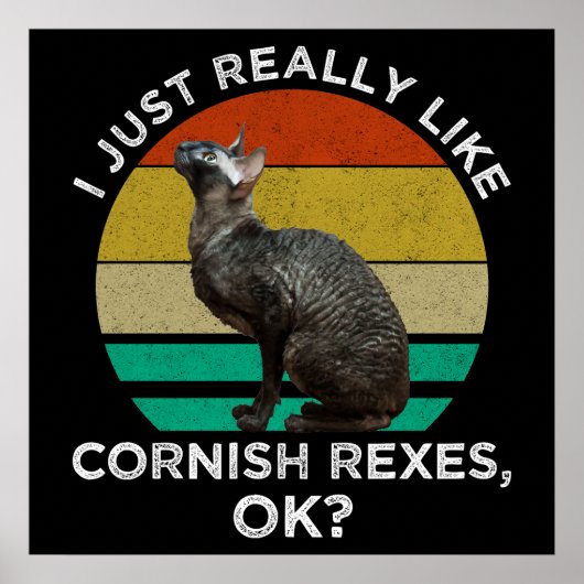 Ik vind Cornish Rexen gewoon echt leuk, OK? Poster (Voorkant)