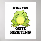 Ik vind dat je grappige kikker kikker hebt.. poster (Voorkant)