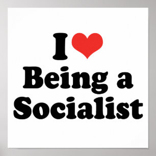 IK VIND HET EEN SOCIALIST - .png Poster