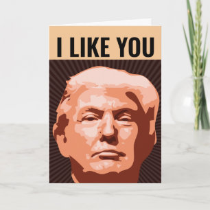 IK VIND JE DONALD TRUMP BIRTHDAY FUNNY CARD KAART