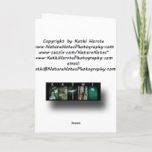 Ik vind mezelf, vermist je...Wenskaart Kaart (Achterkant)