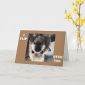 *IK VLIEG OVER JE* OP HET BIRTHDAY SHOW U HOEVEEL  KAART (Gele Bloem)