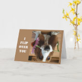 *IK VLIEG OVER JE* OP HET BIRTHDAY SHOW U HOEVEEL  KAART (Gele Bloem)