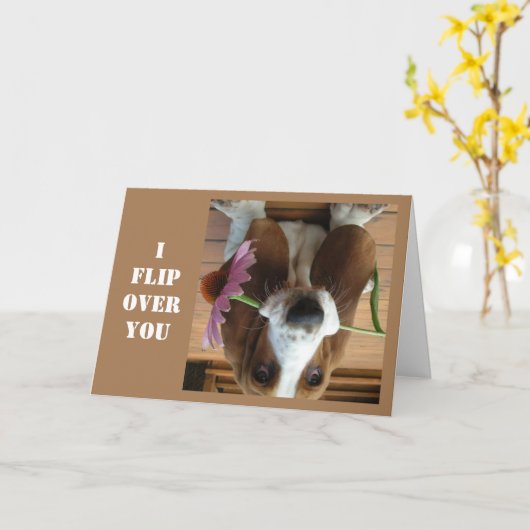 *IK VLIEG OVER JE* OP HET BIRTHDAY SHOW U HOEVEEL KAART (Gele Bloem)