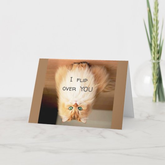 *IK VLIEG OVER JE* OP HET BIRTHDAY SHOW U HOEVEEL  KAART (Voorkant)