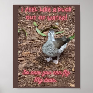 Ik voel me als een eend uit water inspirerend poster
