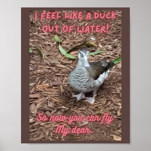 Ik voel me als een eend uit water inspirerend poster (Voorkant)