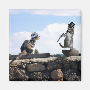 Ik voel me Dansend. Magneet