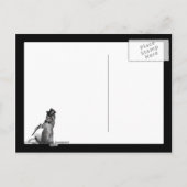 Ik voel me Dansend. Tik danskat Briefkaart (Achterkant)