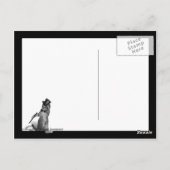 Ik voel me Dansend. Tik danskat Briefkaart (Achterkant)