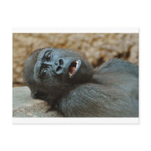 "Ik voel me zo slaperig"