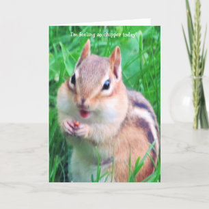 Ik voel vandaag Chipper! Kaart