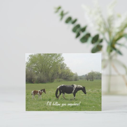 Ik volg je Briefkaart (Staand voorkant)