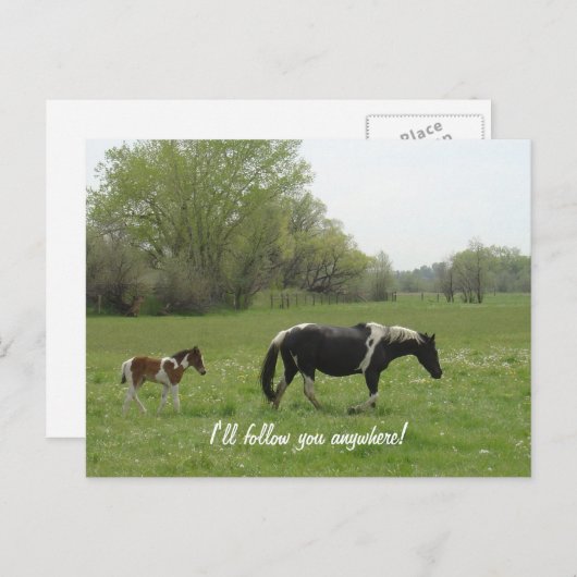 Ik volg je Briefkaart (Voorkant / Achterkant)