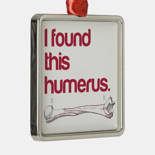 Ik vond deze humerus metalen ornament (Rechts)