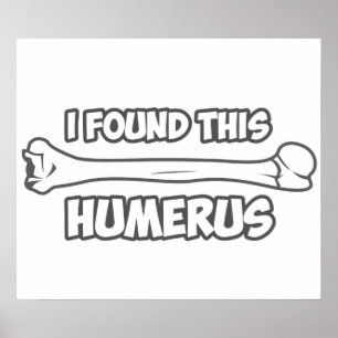 Ik vond deze Humerus Poster