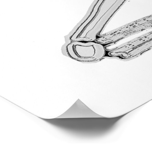 Ik vond deze Humerus Skeleton en Bone Cartoon Poster (Hoek)