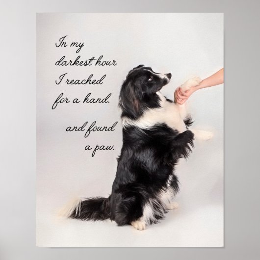 Ik vond een paw poster (Voorkant)