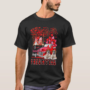 Ik vond Valentijn 2 Cute St. Bernards Couple Gno T-shirt
