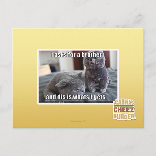 Ik vraag om een broer briefkaart (Voorkant)