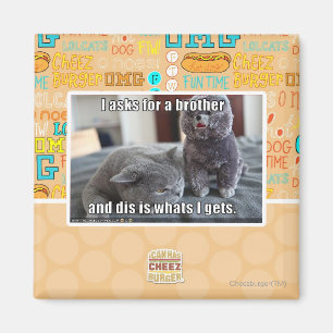 Ik vraag om een broer magneet