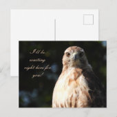 Ik wacht op je - Red Tailed Hawk Stare Briefkaart (Voorkant / Achterkant)