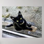 Ik wacht poster (Voorkant)