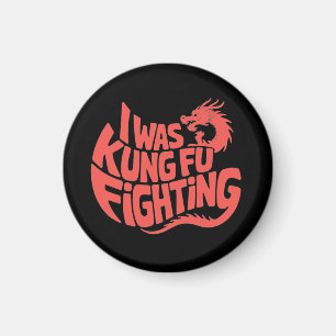 Ik was aan het vechten met kung fu magneet