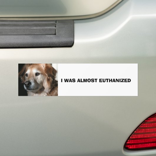 IK WAS BIJNA GEËIST BUMPERSTICKER (Op auto)
