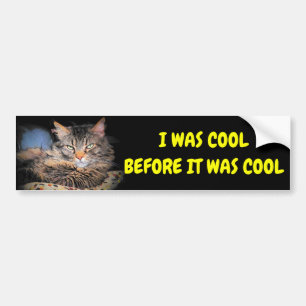 Ik was cool voordat het coole kat meme was bumpersticker