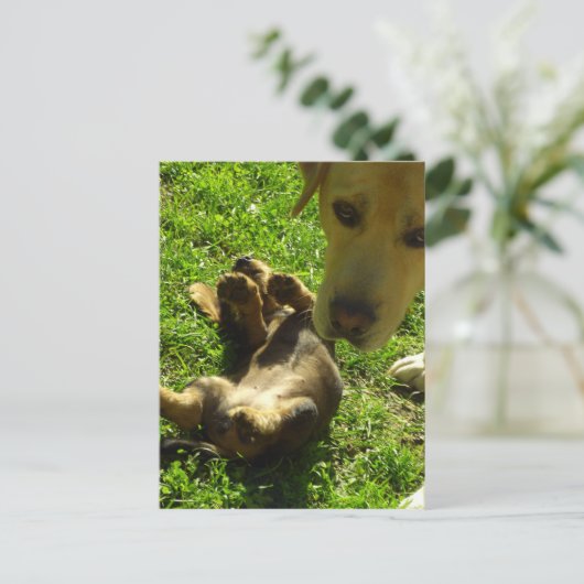 Ik was het niet briefkaart (Staand voorkant)