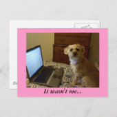 Ik was het niet... Briefkaart (Voorkant / Achterkant)