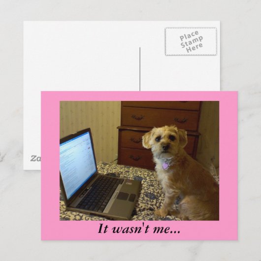 Ik was het niet... Briefkaart (Voorkant / Achterkant)