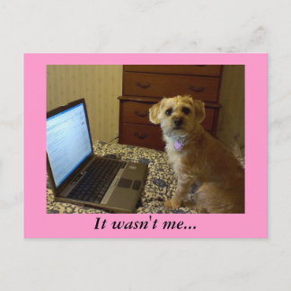 Ik was het niet... Briefkaart