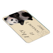Ik was het niet, Panda Magneet (Rechterzijde)