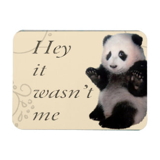 Ik was het niet, Panda Magneet