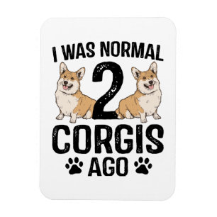 Ik was normaal 2 corgi's geleden Hond Magneet