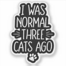 Ik Was Normaal Drie Katten Geleden Funny Cat Cadea