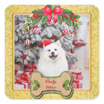 Ik Wauw Je Een Prettig Kerstfeest Persoonlijk Hond