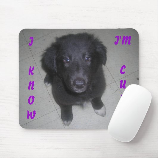 IK WEET DAT IK GESCHIKT BEN MUISMAT (Met muis)