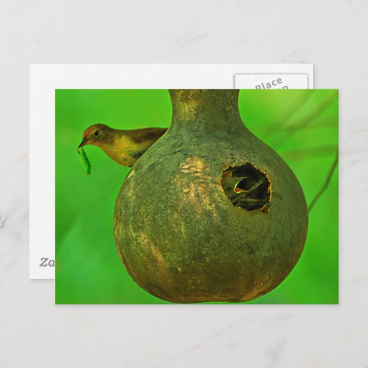 Ik weet dat je hier bent. briefkaart (Voorkant / Achterkant)