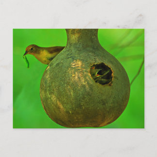 Ik weet dat je hier bent. briefkaart