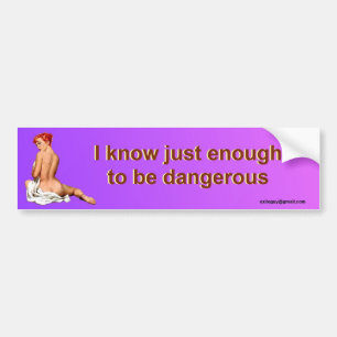 Ik weet net genoeg... bumpersticker