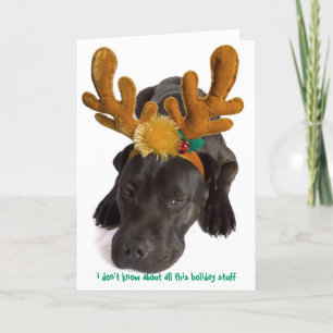 Ik weet niet van al die vakantiedingen feestdagen kaart