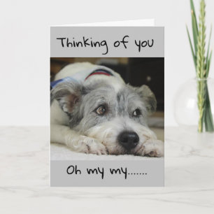 IK WEET NOOIT HOEVEEL IK JE ZOU "MISSEN" KAART